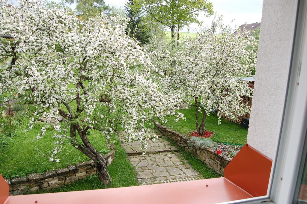 Penzion Belvia Nová Lesná Exterior foto